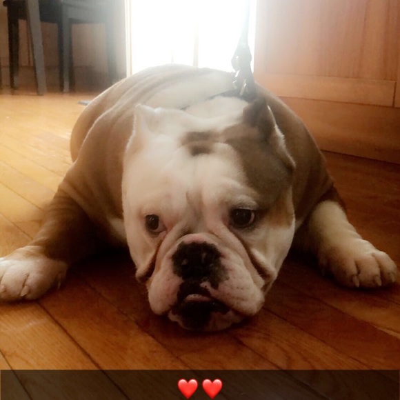 Meet your Posher, Stephanie - Picture 1 of 1